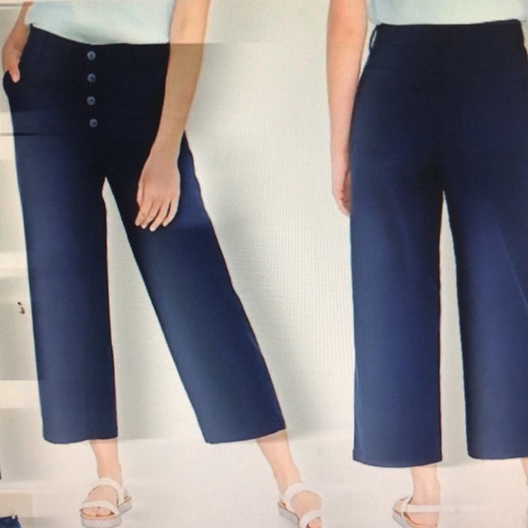 J.Crew Blue Cotton Wide Leg Button Front Pants Sz 30 - Picture 10 of 10